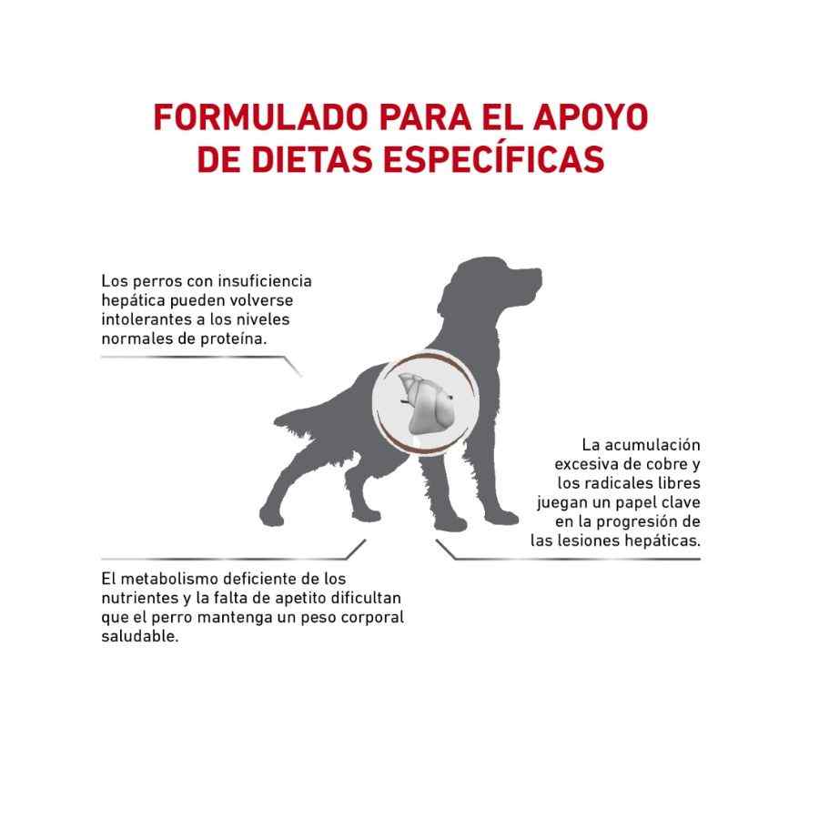 Royal Canin VD Dog Hepatic 12 Kg image number null