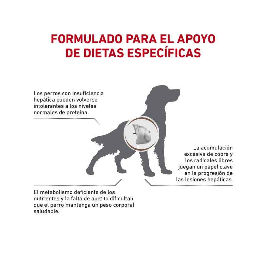 Royal Canin VD Dog Hepatic 12 Kg, , large image number null