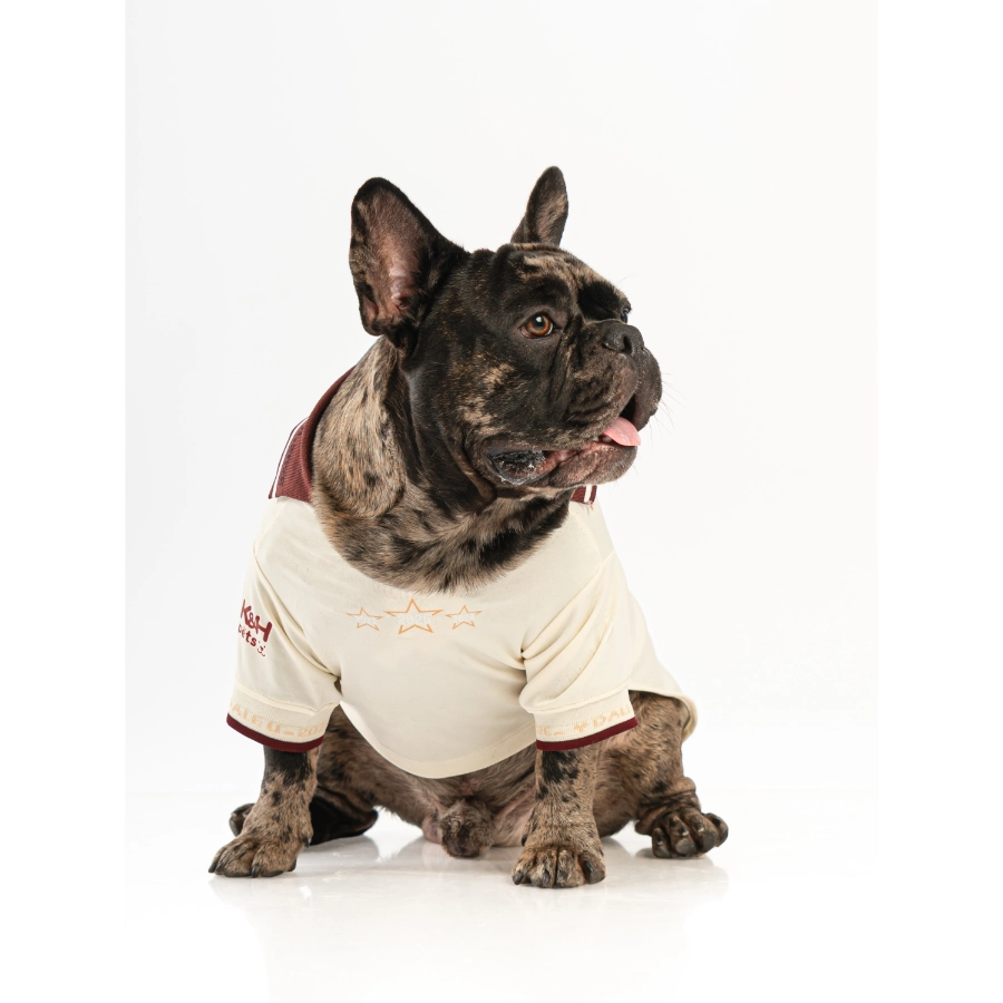 Camiseta Oficial Colecci&oacute;n 2026 Universitario, , large image number null