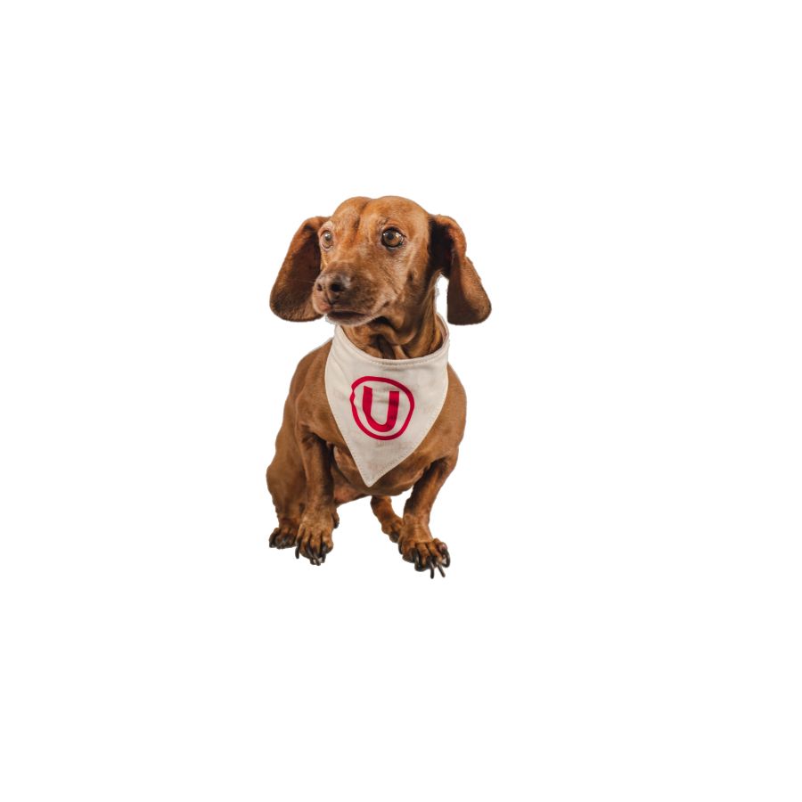 Bandana reversible oficial universitario, , large image number null