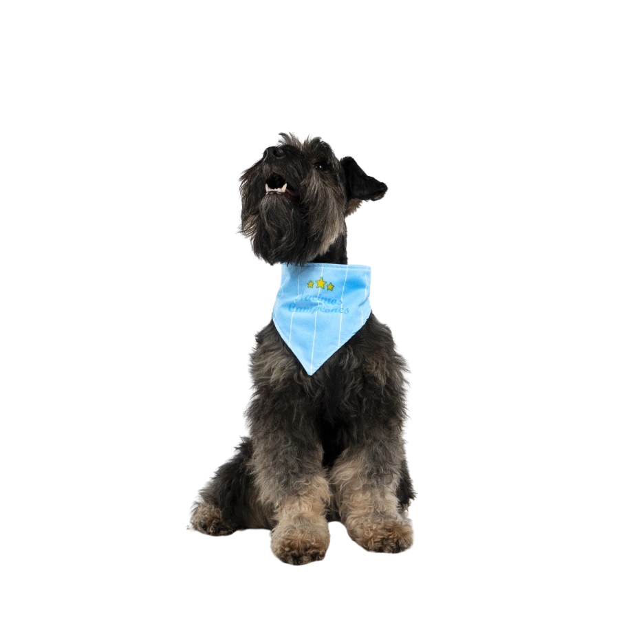 Bandana Oficial Sporting Cristal Colección 2025, , large image number null