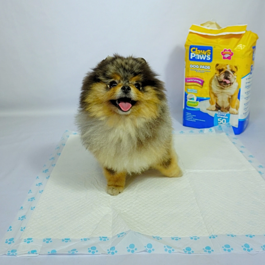 Pa&ntilde;ales Claws & Paws, , large image number null