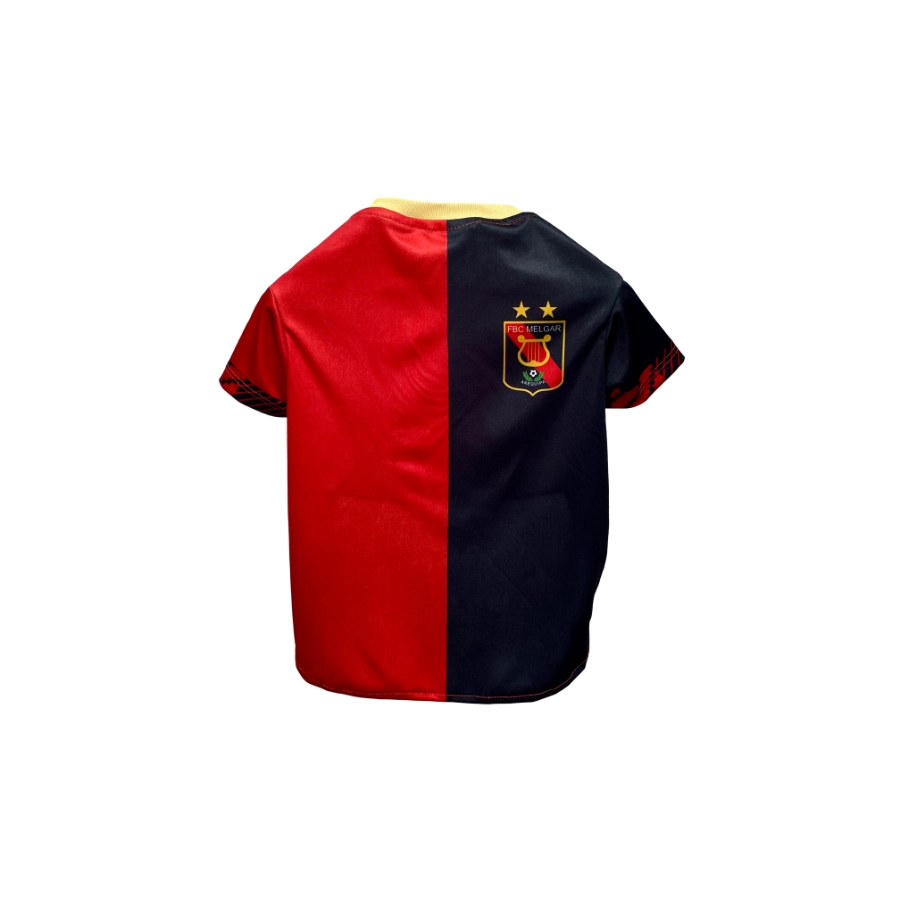Camiseta Oficial Fbc Melgar, , large image number null