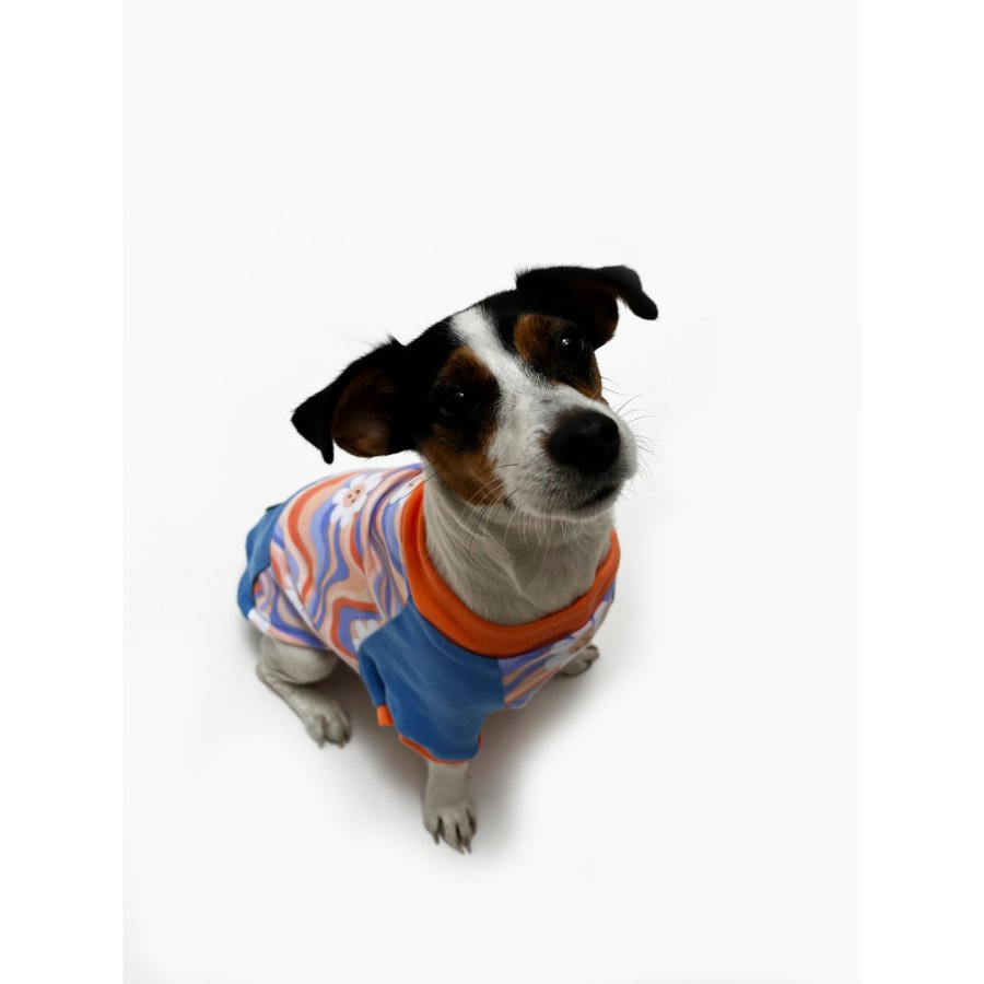 Yupi The Pug - Polo Surtido Hembra, , large image number null