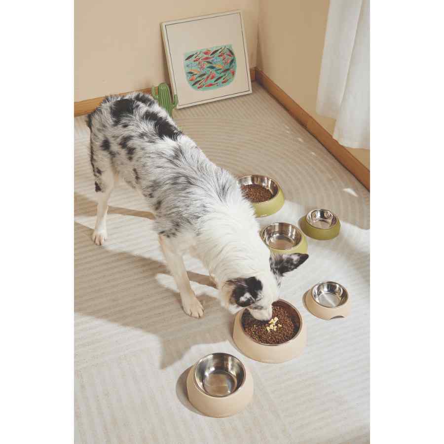 Mpets Eco Bowl Color Olivo, , large image number null