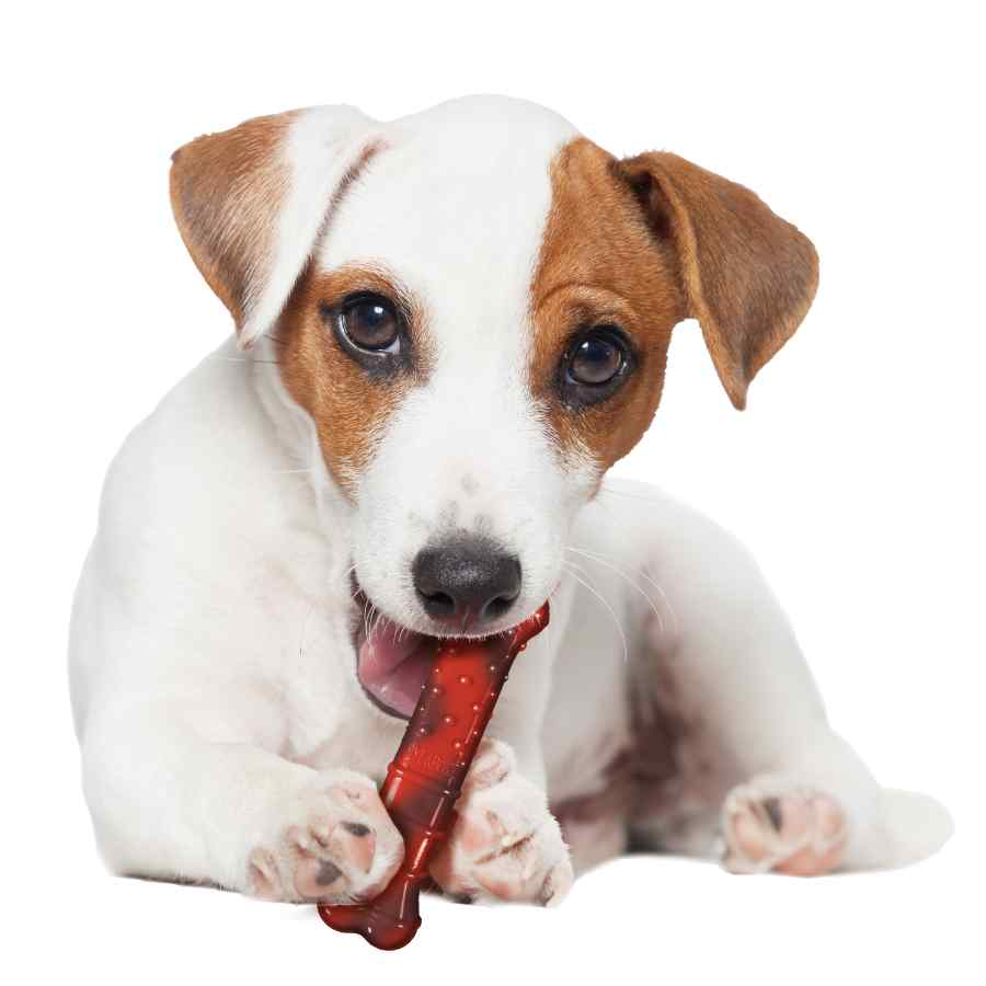 Nylabone Power Chew Huesto Texturizado Sabor Res, , large image number null