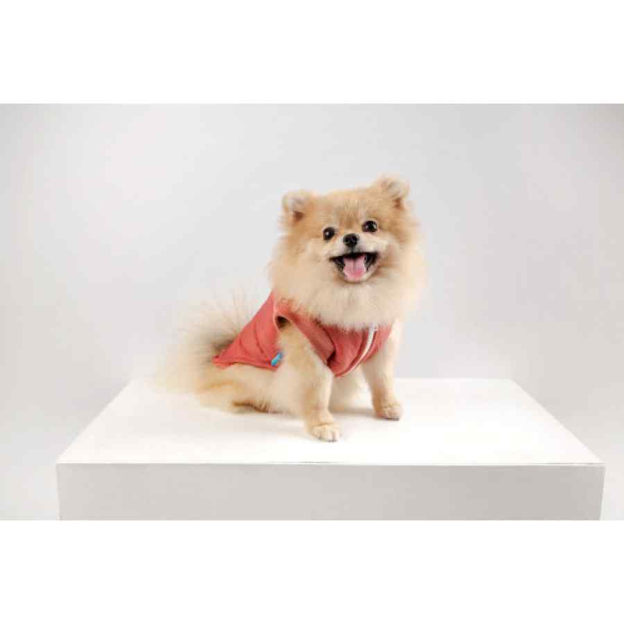 Lmb Chaleco Bomber Rosado, , large image number null