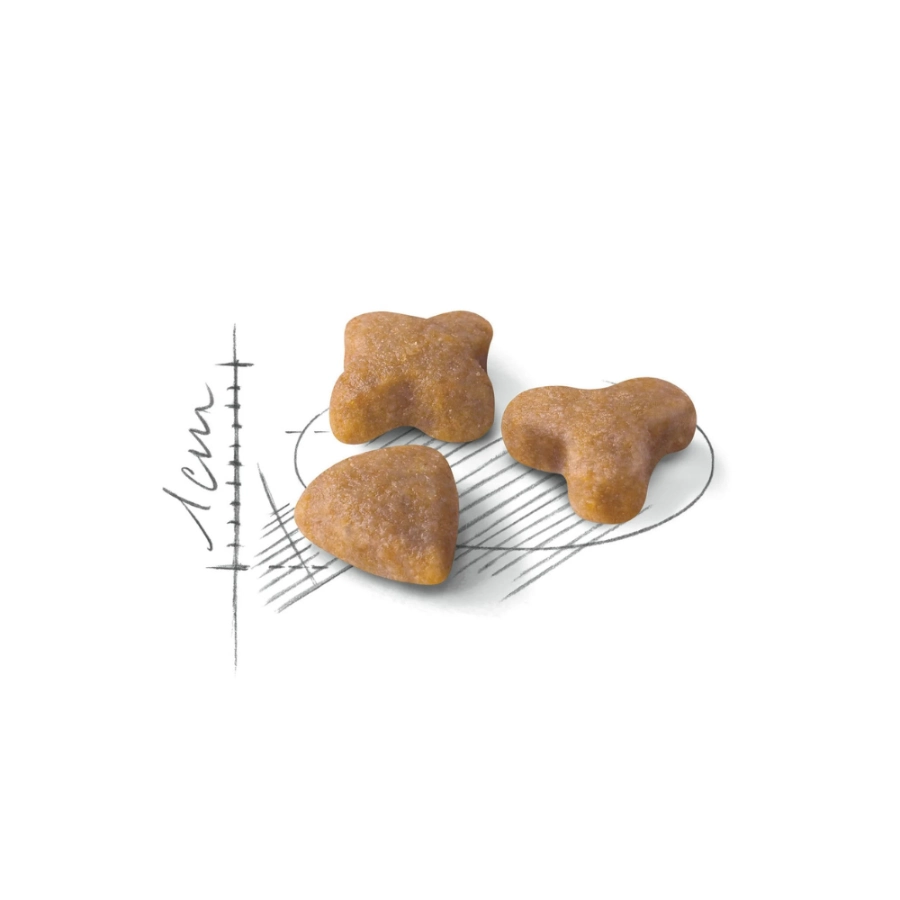 Royal Canin Gato Fhn Sensible 2 Kg, , large image number null
