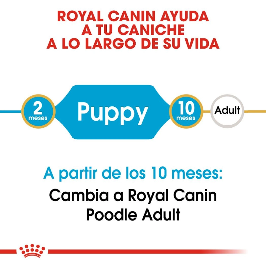 Royal Canin Perro Bhn Poodle Puppy 3 Kg, , large image number null
