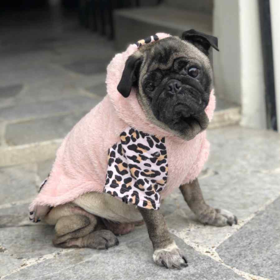 Yupi The Pug Polera Animal Heart Print , , large image number null