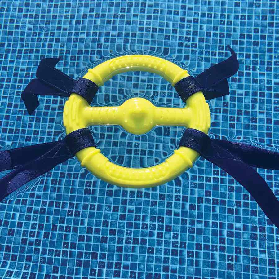Nylabone Power Play Ring Thing, , large image number null