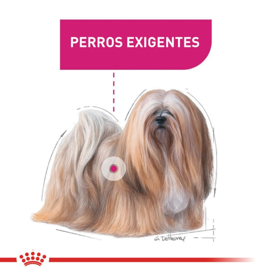 Royal Canin Perro Ccn Mini Exigent 3 Kg, , large image number null