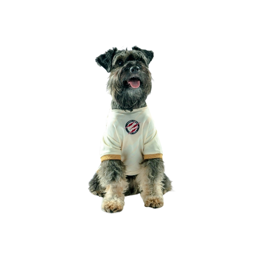 Camiseta Universitario Oficial Colección 2025
