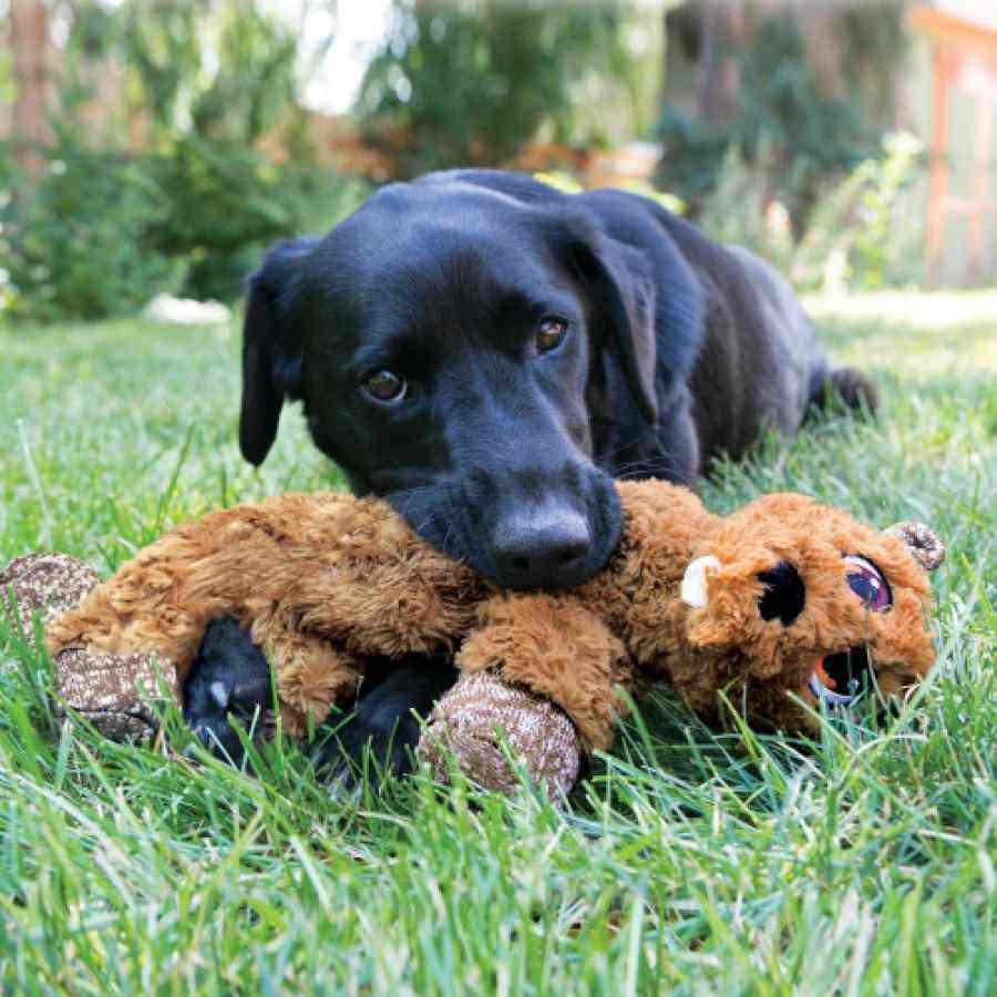 KONG Low Stuff Flopzie Beaver Md, , large image number null