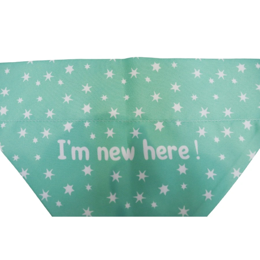Gotoo! Bandana Para Perros Estrellas Verde Menta, , large image number null