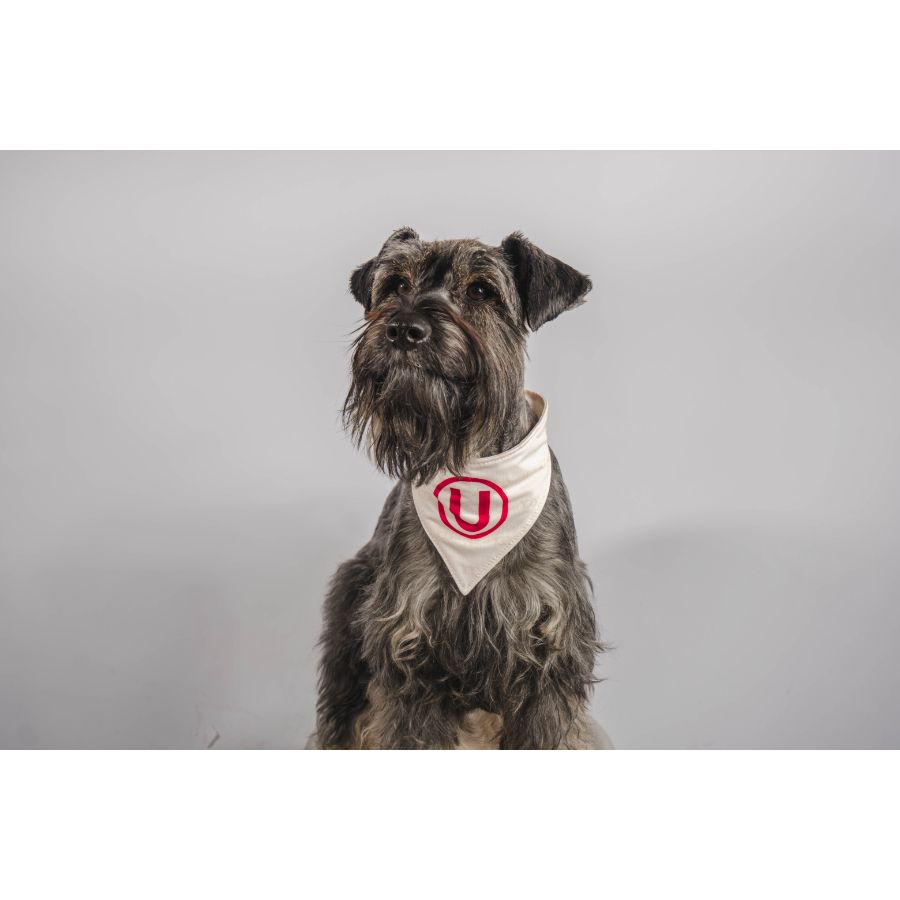 Bandana reversible oficial universitario, , large image number null