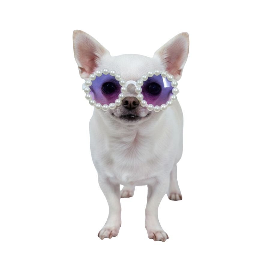 Lentes colores varios para perros (8.5cm), , large image number null