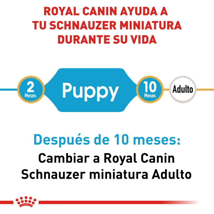 Royal Canin Perro Bhn Schnauzer Adult 3 Kg, , large image number null