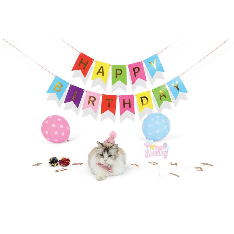 Petjoy Partytime Cat Lady'S Set, , large image number null