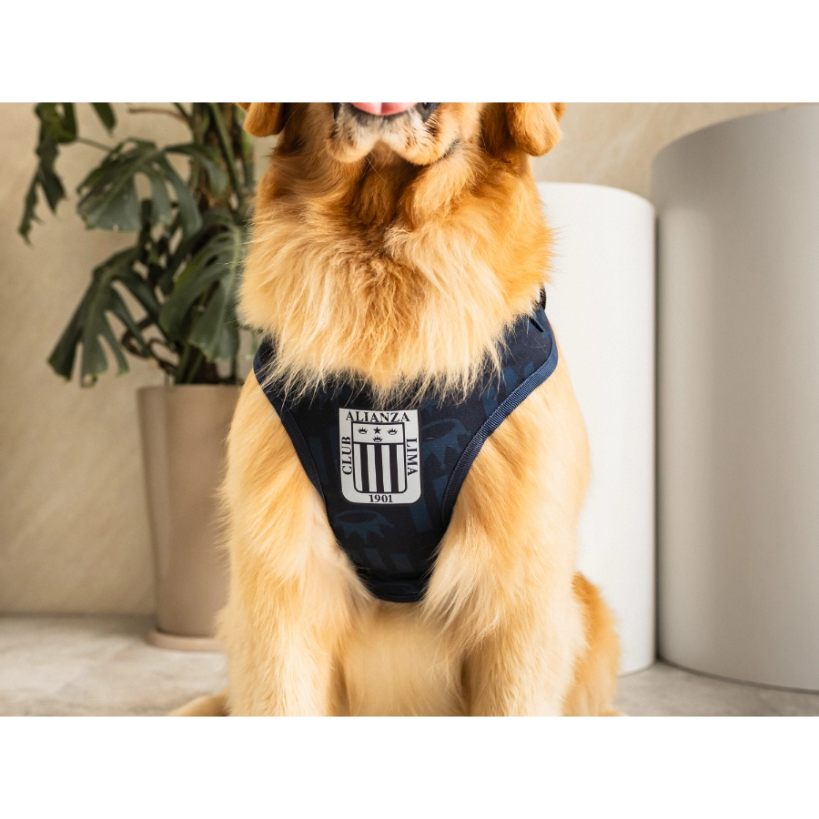 Pechera Alianza Lima, , large image number null