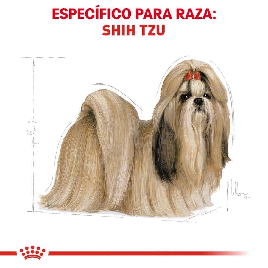 Royal Canin Perro Bhn Shih Tzu Adult, , large image number null