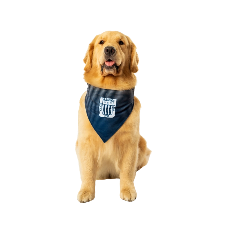 Bandana Oficial Alianza Lima Colección 2025, , large image number null