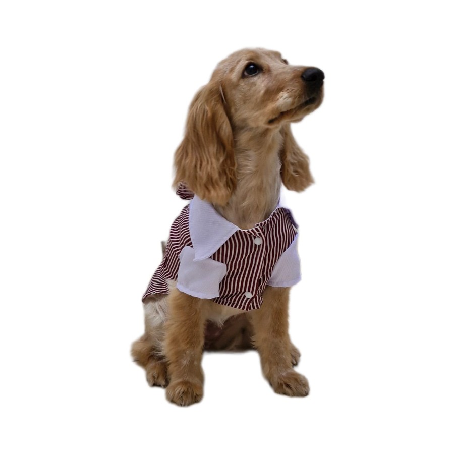 Camisa Elegante Navideña, , large image number null