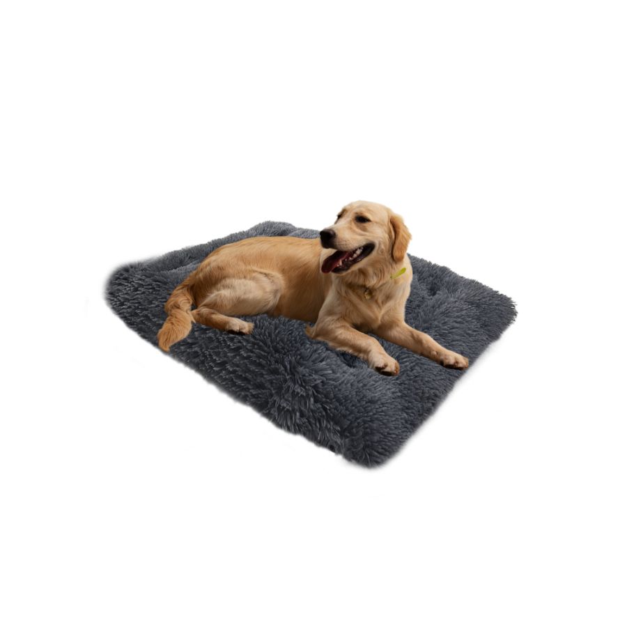 Accecan alfombra gris, , large image number null