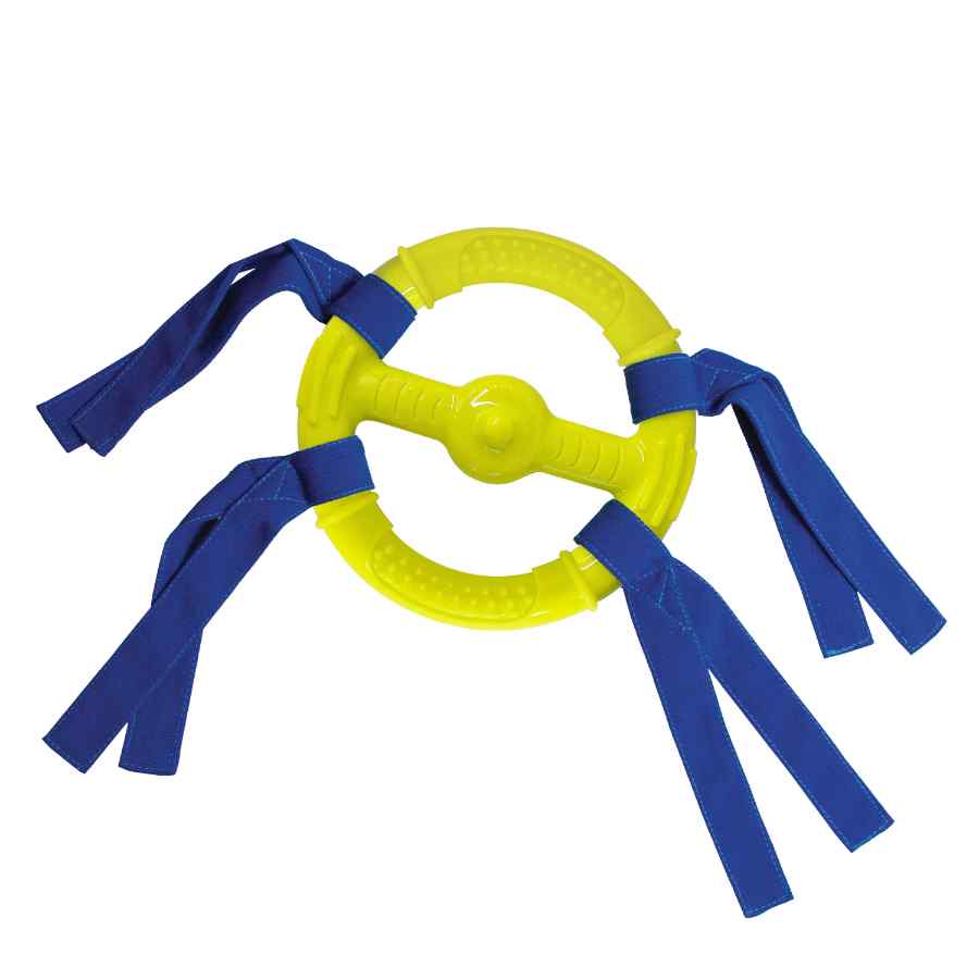 Nylabone Power Play Ring Thing, , large image number null