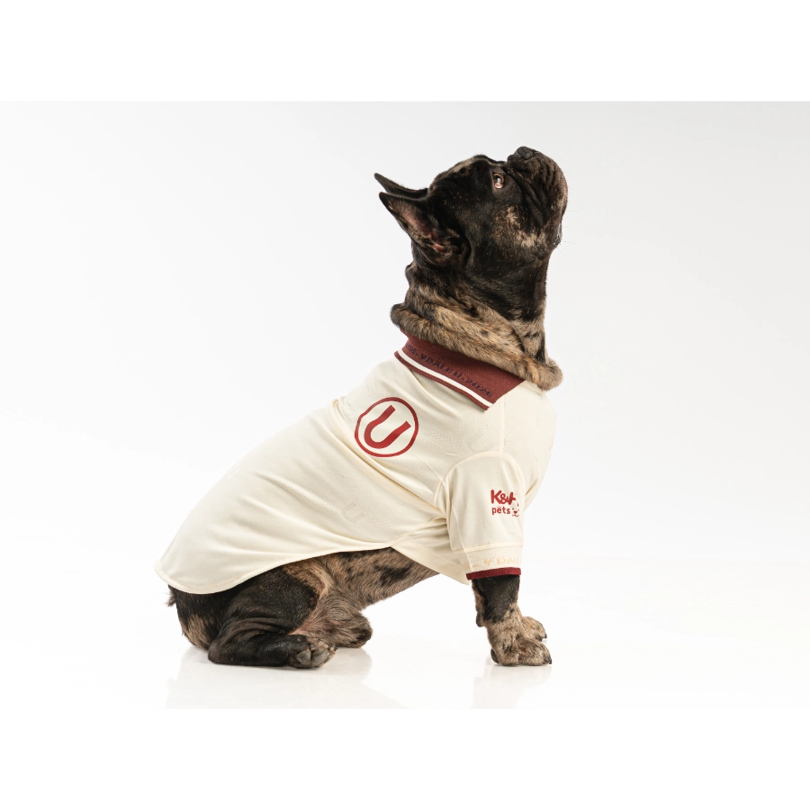 Camiseta Oficial Colecci&oacute;n 2026 Universitario, , large image number null