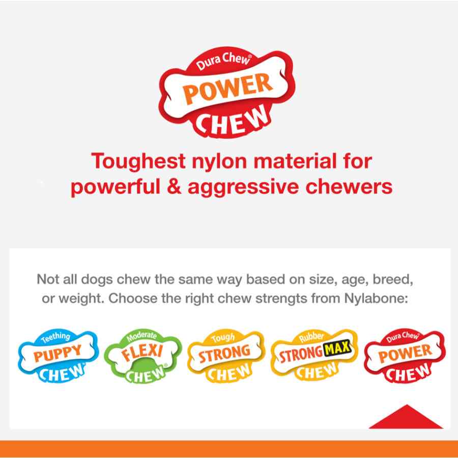 Nylabone Power Chew Huesto Texturizado Sabor Res, , large image number null