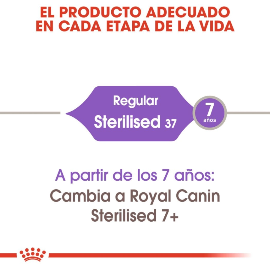 Royal Canin Gato Fhn Sterilised Gravy 85 g, , large image number null