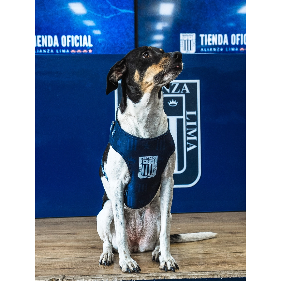 Pechera Alianza Lima, , large image number null