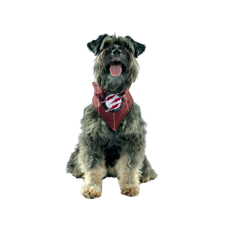 Bandana Alterna Universitario Colección 2025