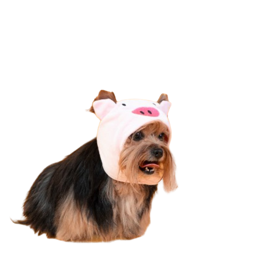 Lmb Gorro Pig