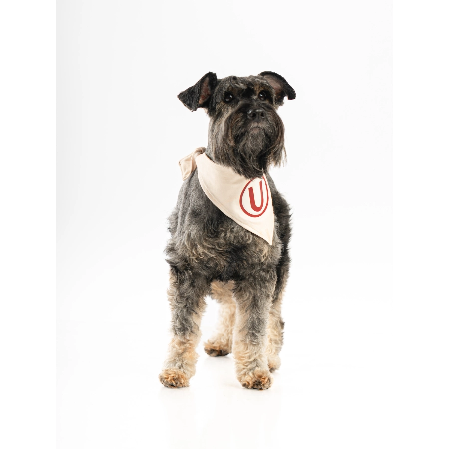 Bandana Oficial Colecci&oacute;n 2026 Universitario, , large image number null