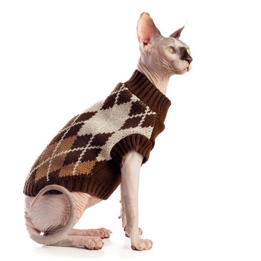 Lmb Sweater Marron, , large image number null