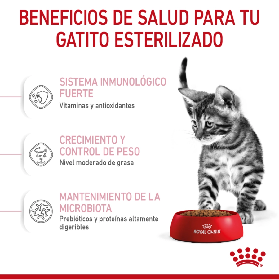 Royal Canin Gato Fhn Kitten Sterilised 2 Kg, , large image number null