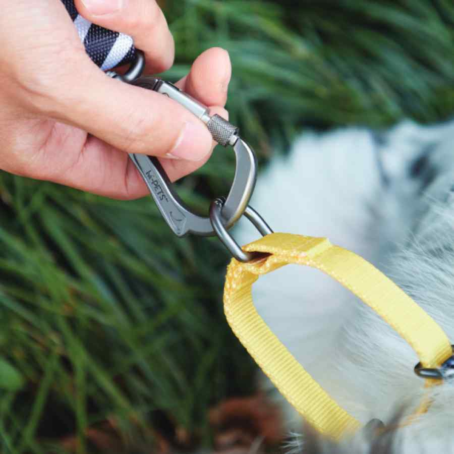 Wild Safari Collar, , large image number null
