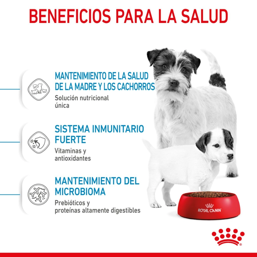 Royal Canin Perro Shn Mini Starter Mother & Baby 4Kg, , large image number null