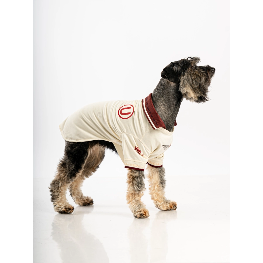 Camiseta Oficial Colecci&oacute;n 2026 Universitario, , large image number null