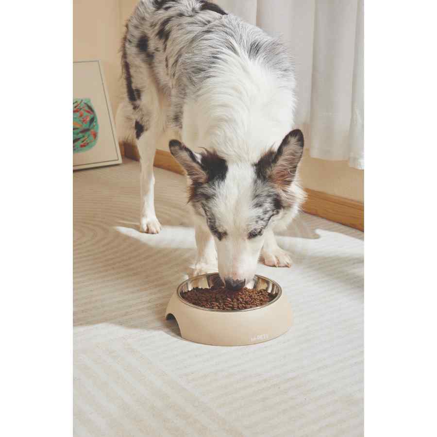 Mpets Eco Bowl Color Arena, , large image number null