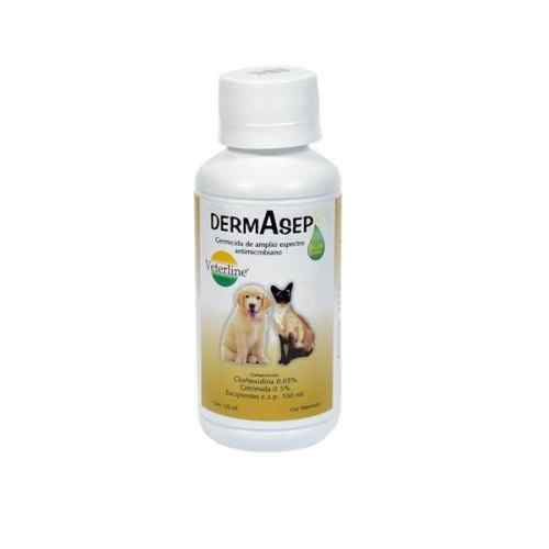 Dermasep 120ml / Antimicrobiano x 1 unidad image number null