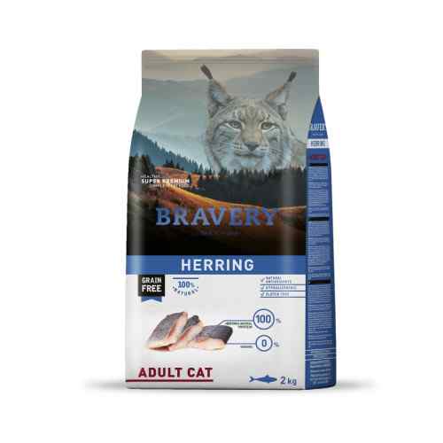 Bravery Herring Adult Cat