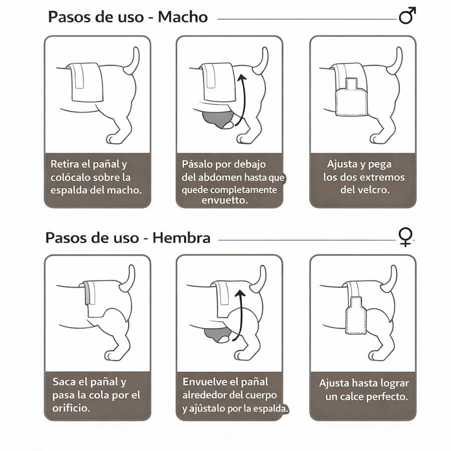 Pet Diapers Hembra, , large image number null