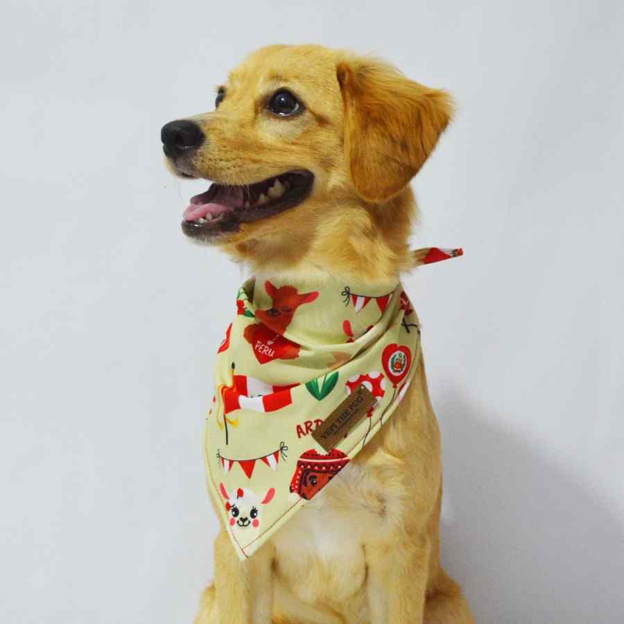 Yupi The Pug Bandana Peru, , large image number null