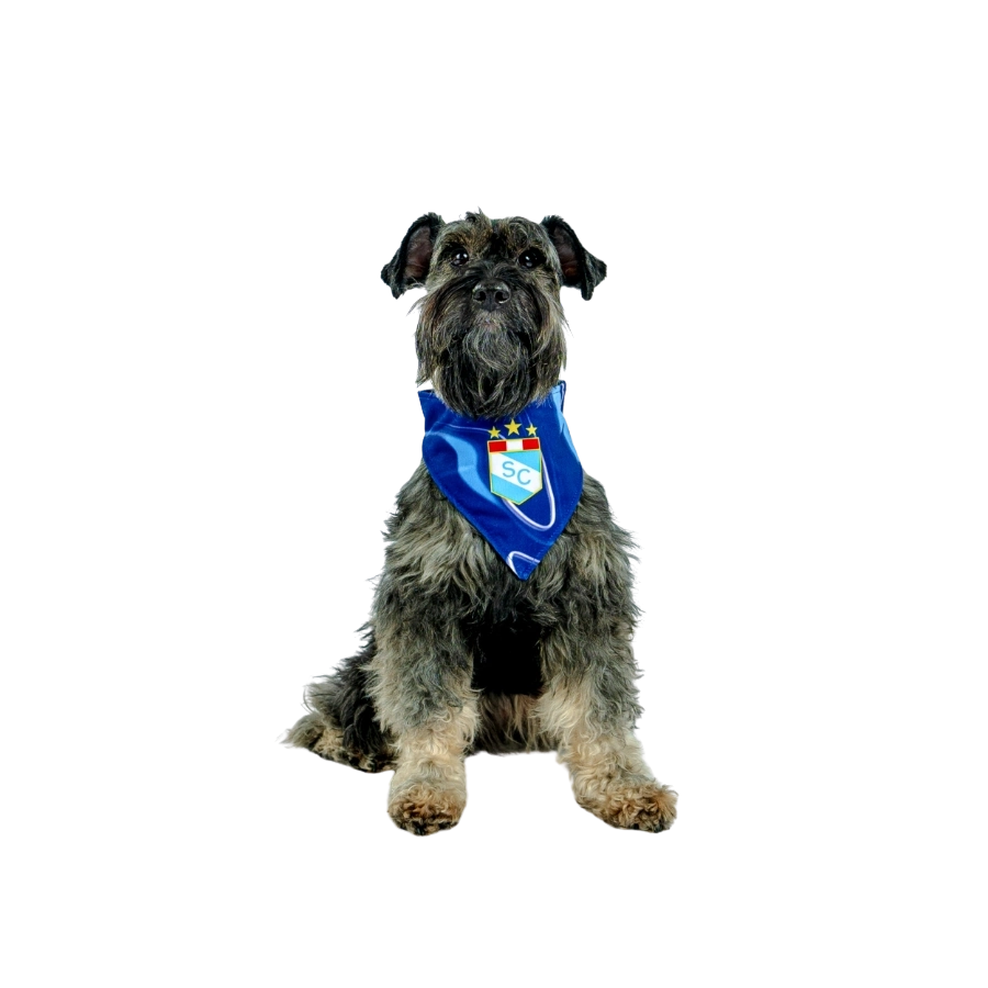 Bandana Reversible De Luxe Sporting Cristal, , large image number null