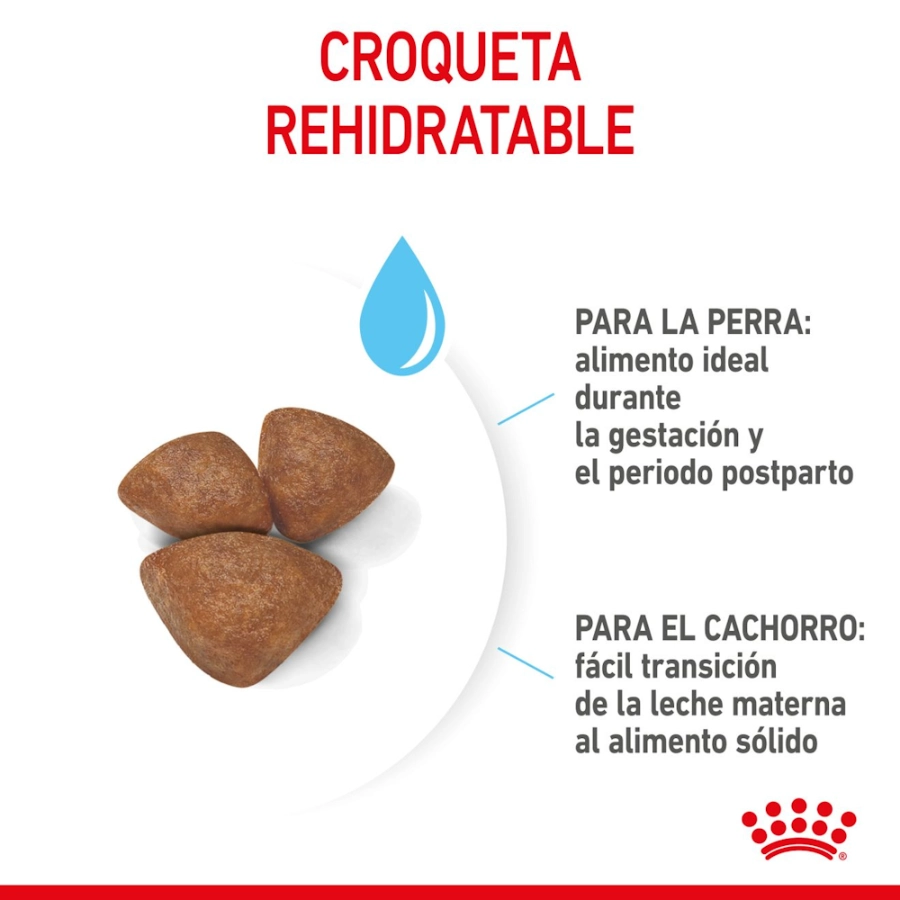 Royal Canin Perro Shn Mini Starter Mother & Baby 4Kg, , large image number null