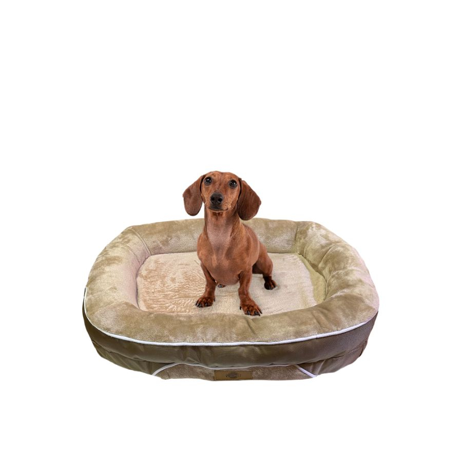 Accecan cama cuna redonda beige, , large image number null