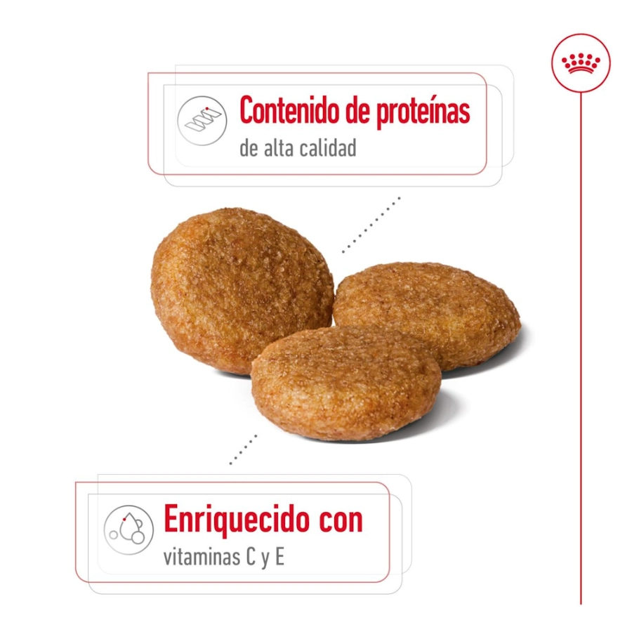 Royal Canin Perro Shn Medium Adult, , large image number null